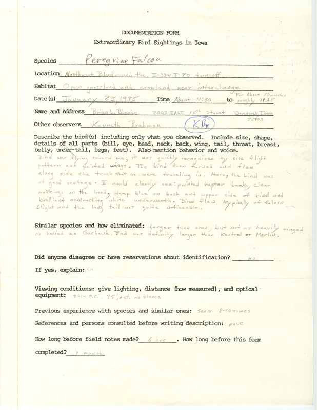 Rare bird documentation form for a Peregrine Falcon at the interchange of IA-130 and Interstate 80 in Davenport in Scott County, IA on January 23, 1985.