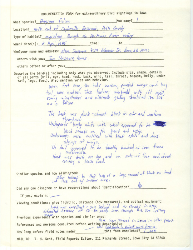 Rare bird documentation form for a Peregrine Falcon at the north end of Saylorville Reservoir in Polk County, IA on April 8, 1985.