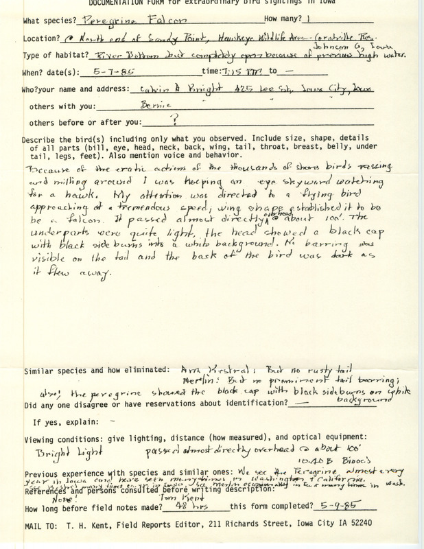 Rare bird documentation form for a Peregrine Falcon at Sand Point in Hawkeye Wildlife Area in Johnson County, IA on May 7, 1985.