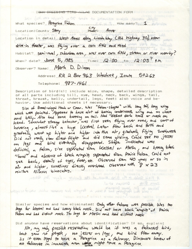 Rare bird documentation form for a Peregrine Falcon at Ames in Story County, IA on June 5, 1985.