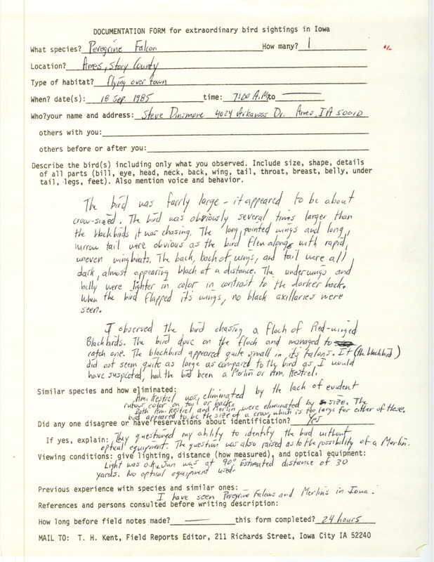 Rare bird documentation form for a Peregrine Falcon at Ames in Story County, IA on September 18, 1985.