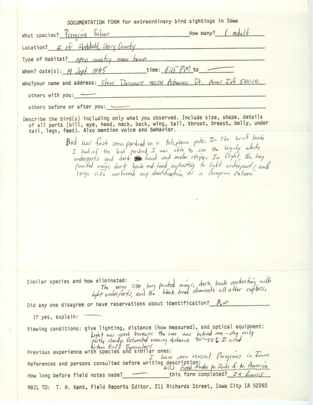 Rare bird documentation form for a Peregrine Falcon south of Sheldahl in Story County, IA on September 19, 1985.