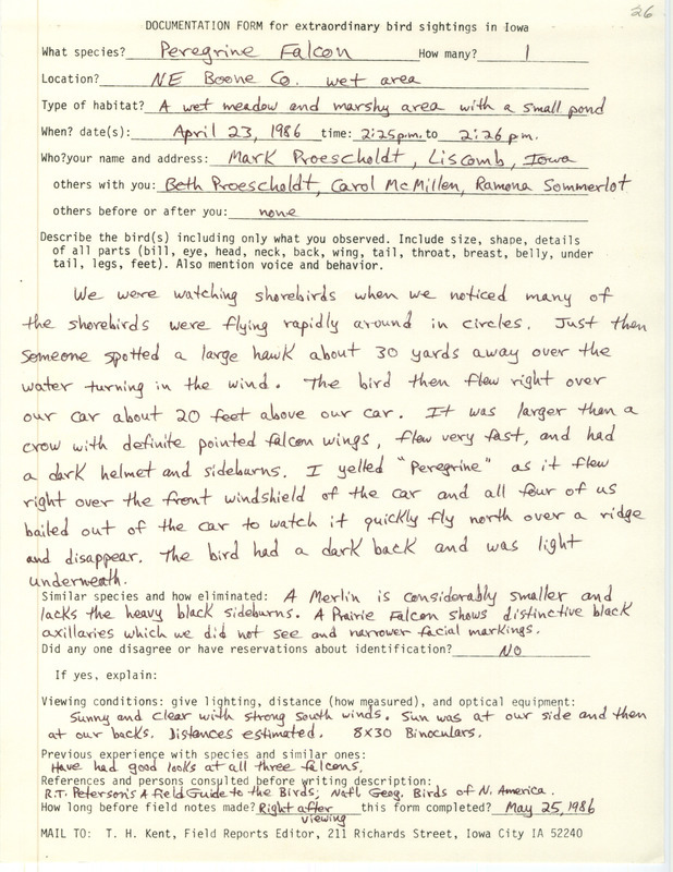 Rare bird documentation form for a Peregrine Falcon in northeast Boone County, IA on April 23, 1986.