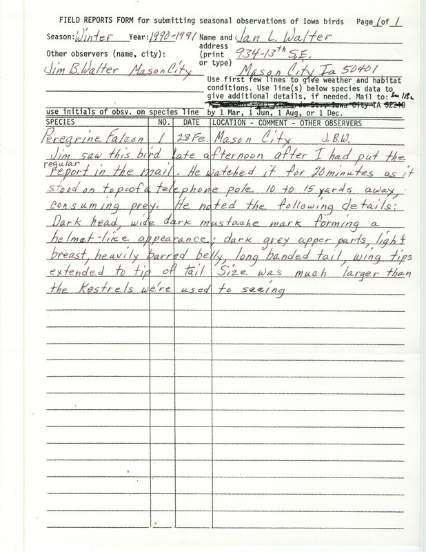 Rare bird documentation form for a Peregrine Falcon at Mason City in Cerro Gordo County, IA on February 28, 1991.