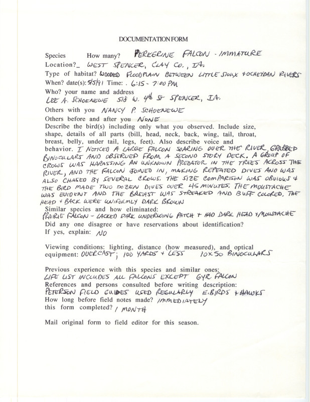 Rare bird documentation form for a Peregrine Falcon at West Spencer in Clay County, IA on May 5, 1991.