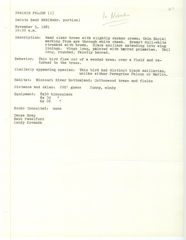 Rare bird documentation form for a Prairie Falcon at DeSoto Bend National Wildlife Refuge in Washington County, NE on November 5, 1981.