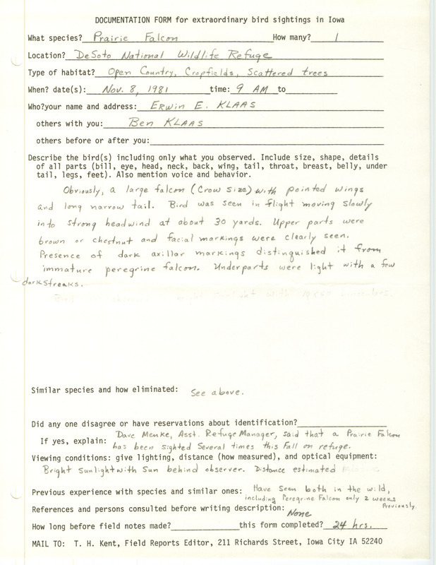 Rare bird documentation form for a Prairie Falcon at DeSoto National Wildlife Refuge in Harrison County, IA on November 8, 1981.