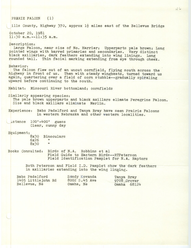 Rare bird documentation form for a Prairie Falcon near Bellevue Bridge in Mills County, IA on October 20, 1981.