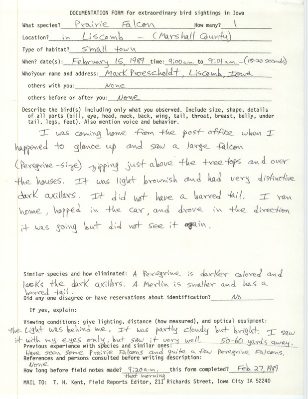 Rare bird documentation form for a Prairie Falcon at Liscomb in Marshall County, IA on February 15, 1989.