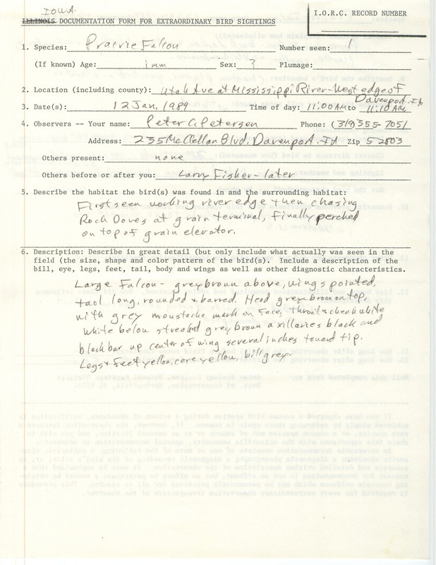 Rare bird documentation form for a Prairie Falcon at Davenport in Scott County, IA on January 12, 1989.