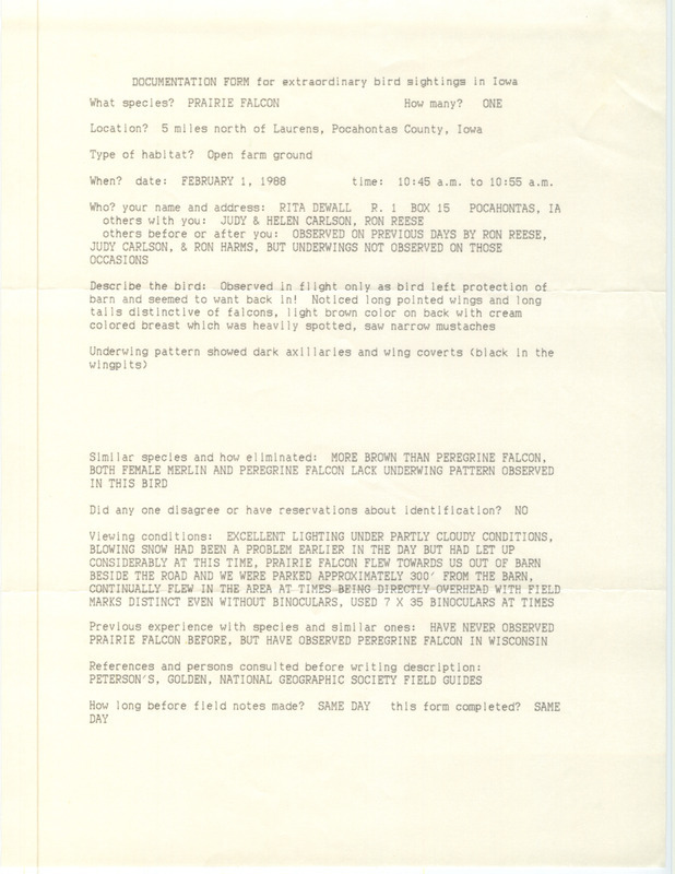 Rare bird documentation form for a Prairie Falcon north of Laurens in Pocahontas County, IA on February 1, 1988.