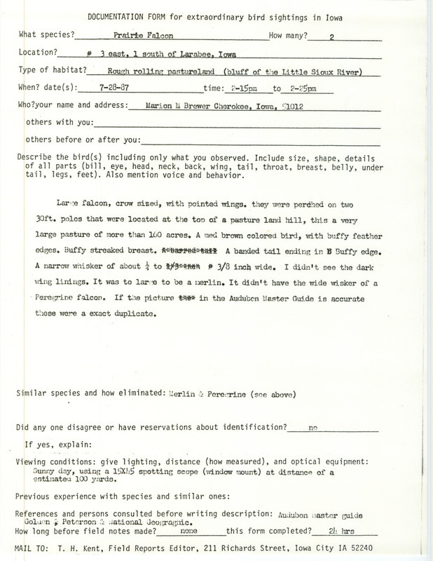 Rare bird documentation form for two Prairie Falcons southeast of Larrabee in Cherokee County, IA on July 28, 1987.