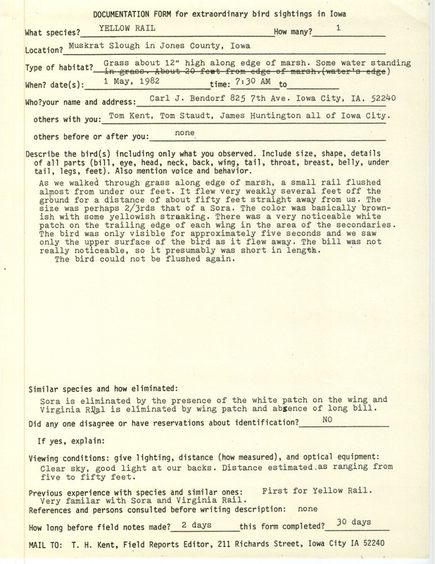 Rare bird documentation form for a Yellow Rail at Muskrat Slough in Jones County, IA on May 1, 1982.