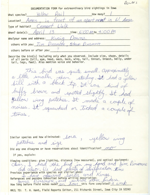 Rare bird documentation form for a Yellow Rail at Ames in Story County, IA on April 13, 1983.