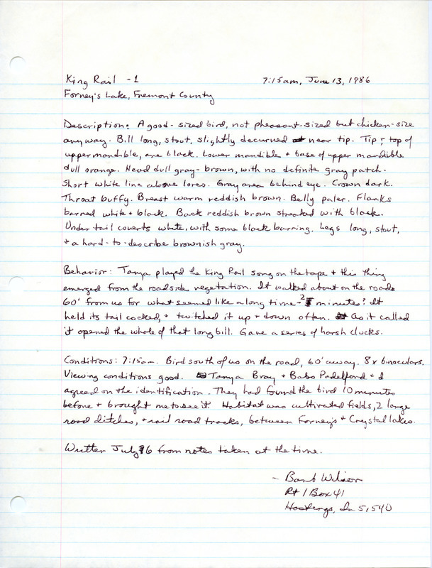 Rare bird documentation form for a King Rail at Forney's Lake in Fremont County, IA on June 13, 1986.