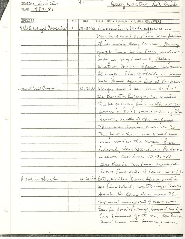 Field notes detailing the sighting of a White-winged Crossbill, Sandhill Crane, and Merlin Hawk.