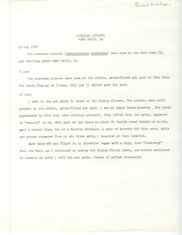 Field notes for two American Avocets near New Lake near Salix, IA on May 19, June 7, and June 19, 1986.