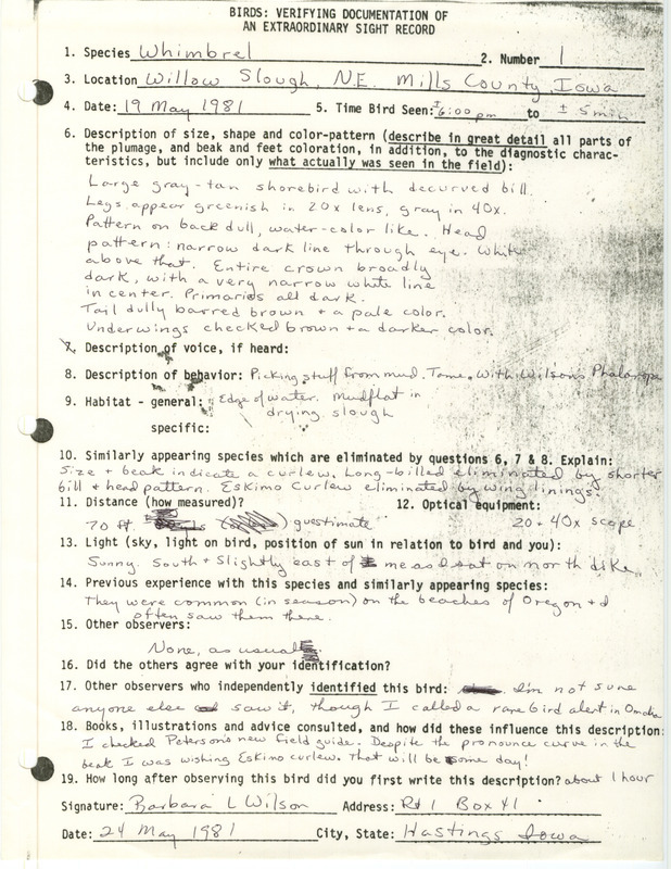 Rare bird documentation form for a Whimbrel at Willow Slough in Mills County, IA on May 19, 1981.