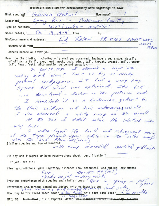 Rare bird documentation form for a Hudsonian Godwit at Spring Run in Dickinson County, IA on October 19, 1995. Letter from Ed Thelen to Tom Kent about a video of the sighting on unknown date.