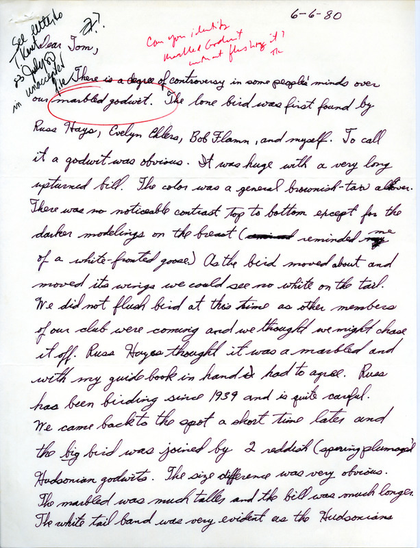 Robert K. Myers letter to Thomas H. Kent Rare about bird sightings for a Marbled Godwit in Iowa, June 6, 1980. Myers details how he and Russ Hayes identified the Godwit and mentions birds he saw on a trip to Waubonsie and Lacey-Keosauqua state parks.