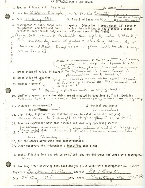 Rare bird documentation form for a Marbled Godwit at Willow Slough in northeast Mills County, IA on May 19, 1981.