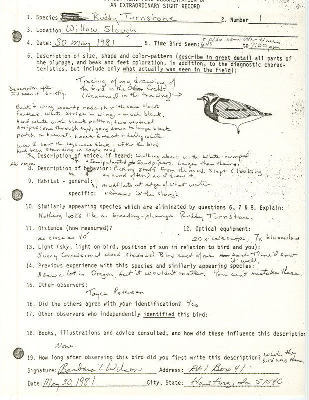 Rare bird documentation form for a Ruddy Turnstone at Willow Slough in Mills County, IA on May 30, 1981.