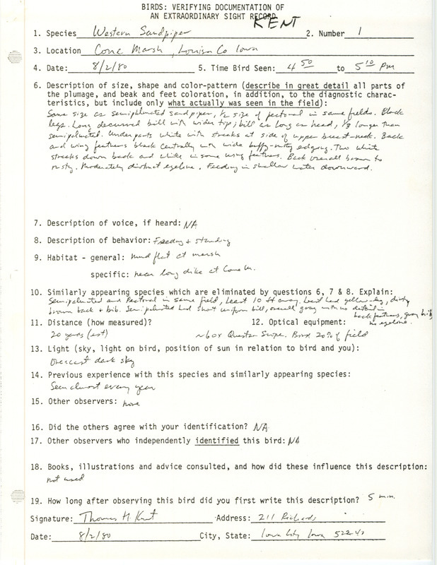 Rare bird documentation form for a Western Sandpiper at Cone March in Louisa County, IA on August 2, 1980.