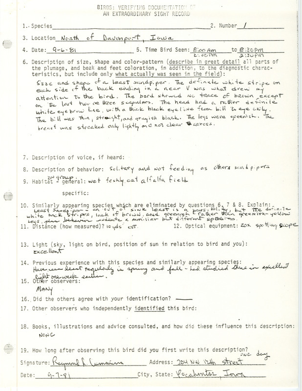 Rare bird documentation form for a Long-toed Stint north of Davenport on September 6, 1981.