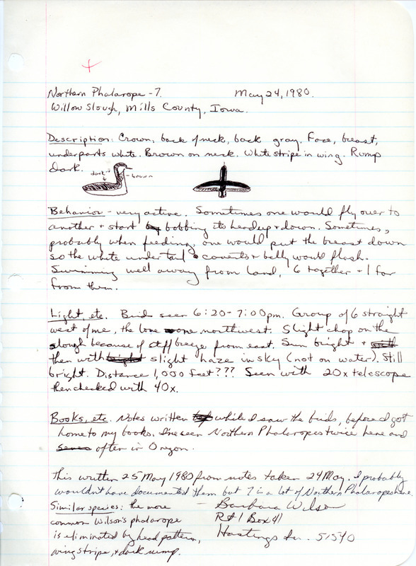 Rare bird documentation form for seven Red-necked Phalaropes at Willow Slough in Mills County, IA on May 24, 1980.