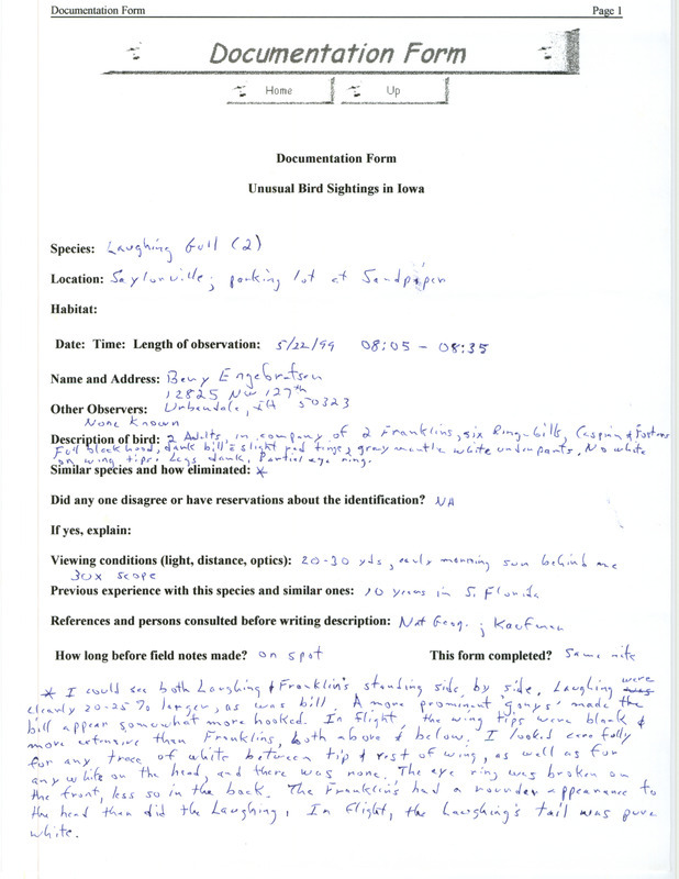 Rare bird documentation form for two Laughing Gulls at Sandpiper Recreation Area at Saylorville in Polk County, IA on May 22, 1999.