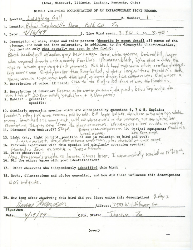 Rare bird documentation form for a Laughing Gull at Saylorville Dam in Polk County, IA on April 16, 1999.