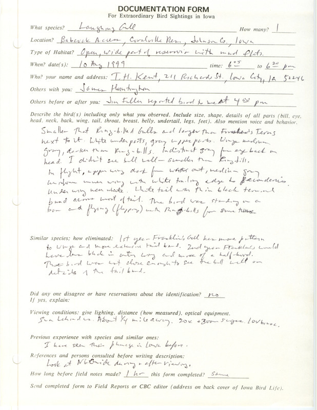 Rare bird documentation form for a Laughing Gull at Babcock Access at Coralville Reservoir in Johnson County, IA on August 10, 1999.