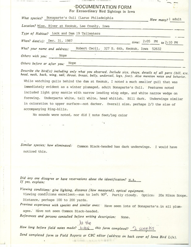 Rare bird documentation form for a Bonaparte's Gull at the Mississippi River at Keokuk in Lee County, IA on December 31, 1987.