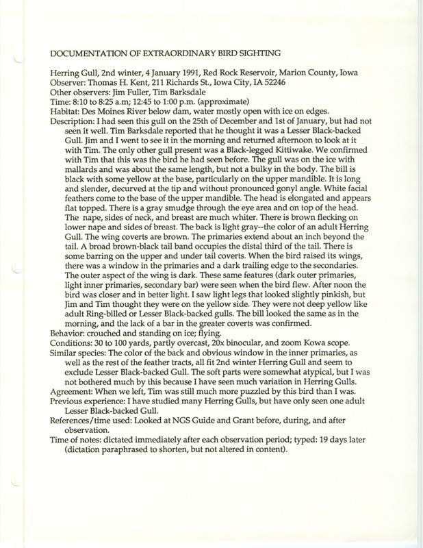 Rare bird documentation form for a Herring Gull at Red Rock Reservoir in Marion County, IA on January 4, 1991.