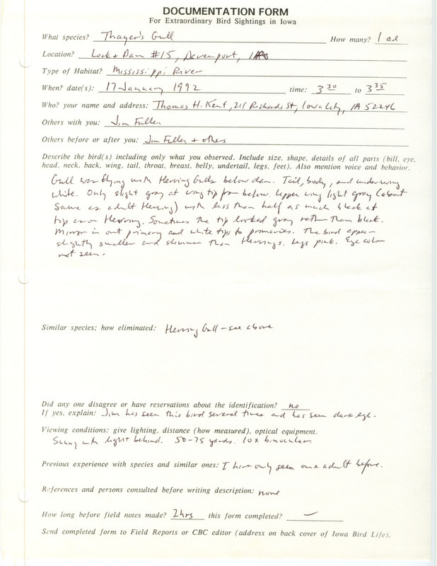 Rare bird documentation form for a Thayer's Gull at Lock and Dam 15 in Davenport in Scott County, IA on January 17, 1992.