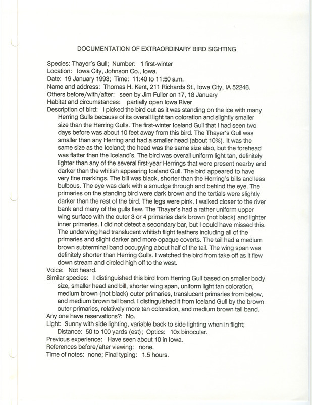 Rare bird documentation form for a Thayer's Gull at Iowa City in Johnson County, IA on January 19, 1993.