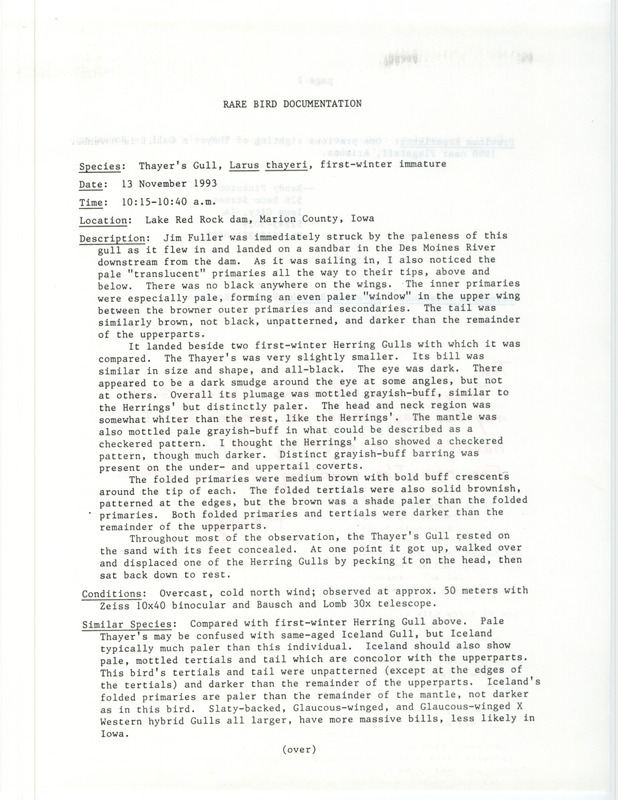 Rare bird documentation form for a Thayer's Gull at Red Rock Dam in Marion County, IA on November 13, 1993.