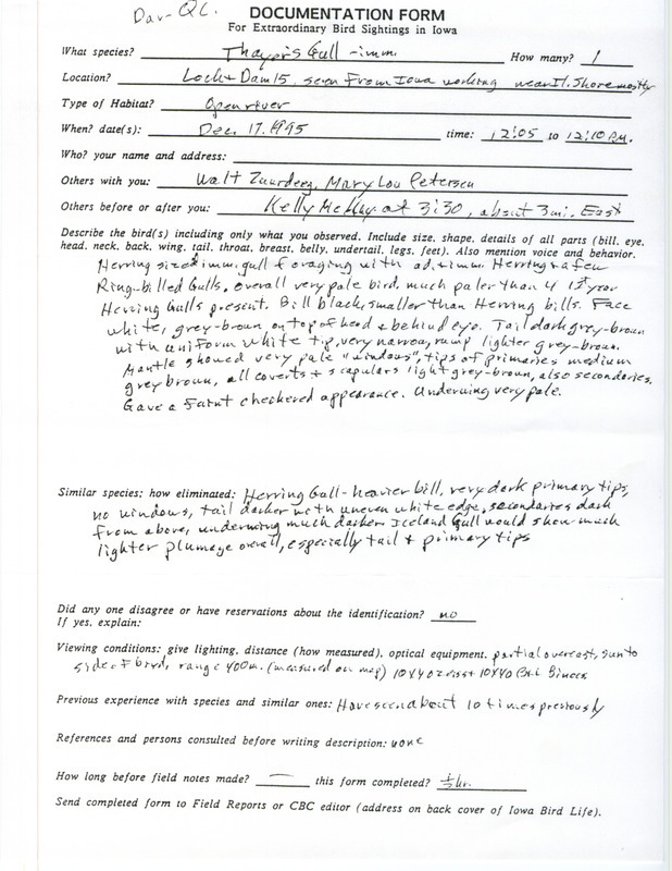 Rare bird documentation form for a Thayer's Gull at Lock and Dam 15 in Scott County, IA on December 17, 1995.