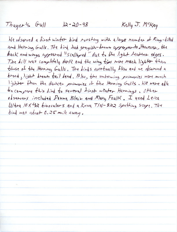 Field notes for the sighting of a Thayer's Gull by Kelly McKay on December 20, 1998.