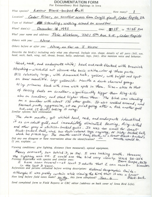 Rare bird documentation form for a Lesser Black-backed Gull in the Cedar River at Cedar Rapids in Linn County, IA on December 18, 1993.