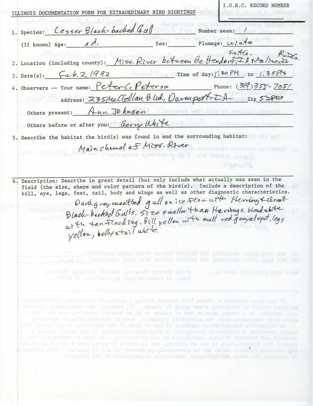 Rare bird documentation form for a Lesser Black-backed Gull on the Mississippi River between Bettendorf in Scott County, IA and Moline in Rock Island County, IL on February 2, 1992.