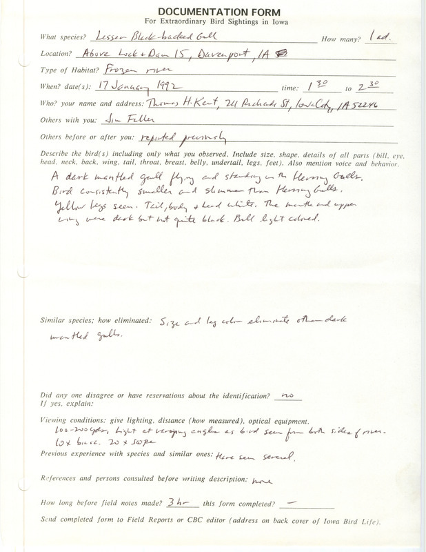 Rare bird documentation form for a Lesser Black-backed Gull at Lock and Dam 15 in Davenport in Scott County, IA on January 17, 1992.