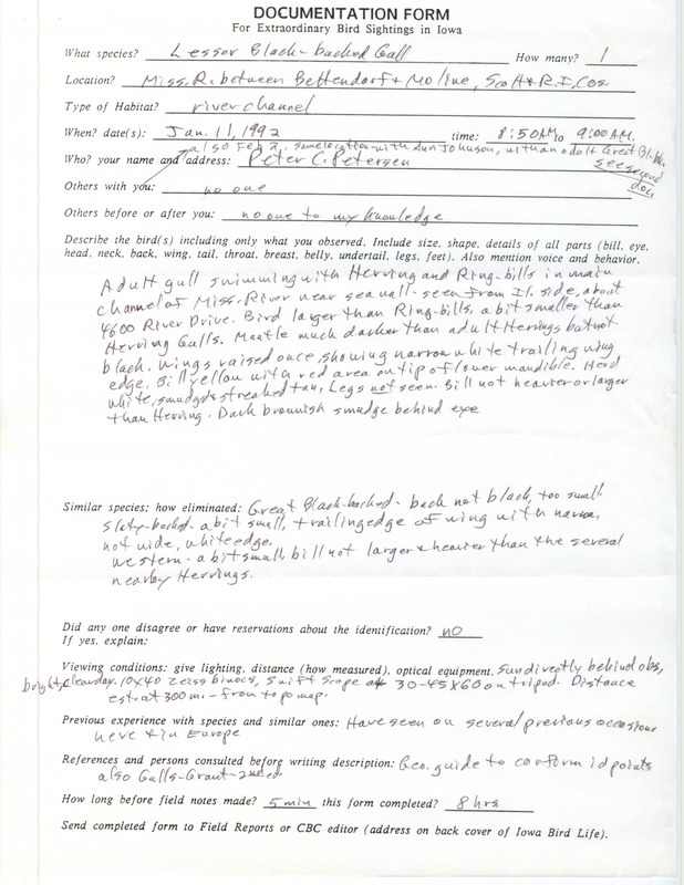 Rare bird documentation form for a Lesser Black-backed Gull at Mississippi River between Bettendorf in Scott County, IA and Moline in Rock Island County, IL on January 11, 1992.