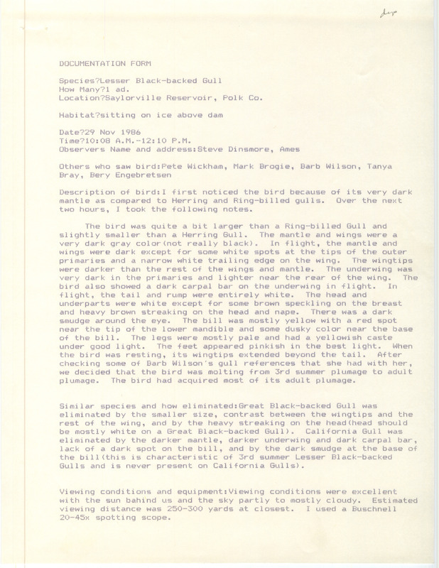 Rare bird documentation form for a Lesser Black-backed Gull at Saylorville Reservoir in Polk County, IA on November 29, 1986.