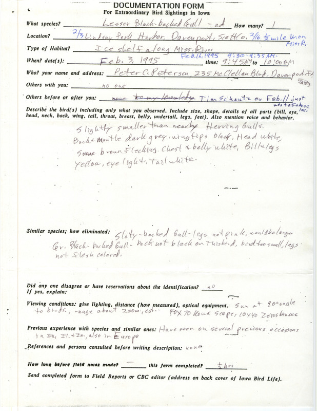 Rare bird documentation form for a Lesser Black-backed Gull at Lindsay Park Harbor in Scott County, IA on February 3 and 16, 1995.