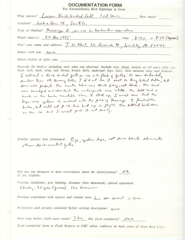 Rare bird documentation form for Lesser Black-backed Gull at Lock and Dam 14 in Scott County, IA on December 24, 1995.