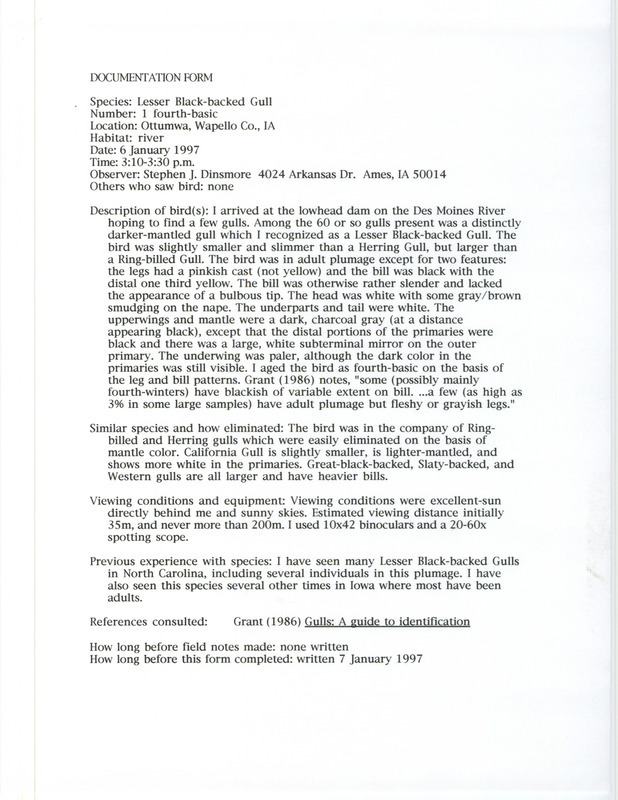 Rare bird documentation form for a Lesser Black-backed Gull at Ottumwa in Wapello County, IA on January 6, 1997.