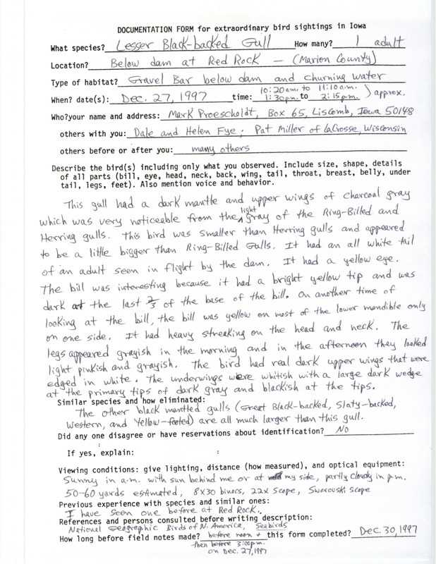 Rare bird documentation form for a Lesser Black-backed Gull at Red Rock Dam in Marion County, IA on December 27, 1997.