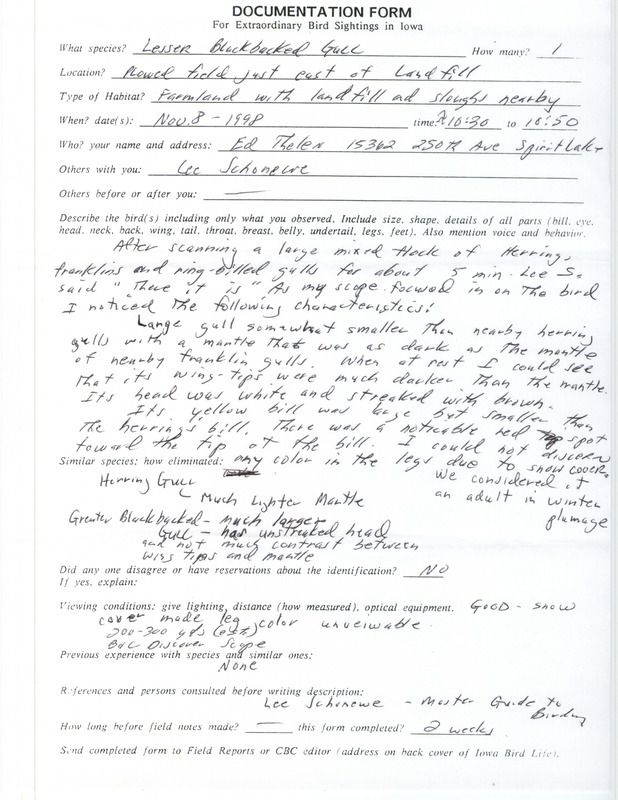 Rare bird documentation form for a Lesser Black-backed Gull at Iowa on November 8, 1998.