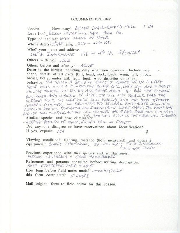 Rare bird documentation form for a Lesser Black-backed Gull at Saylorville Dam in Polk County, IA on November 4, 1998.